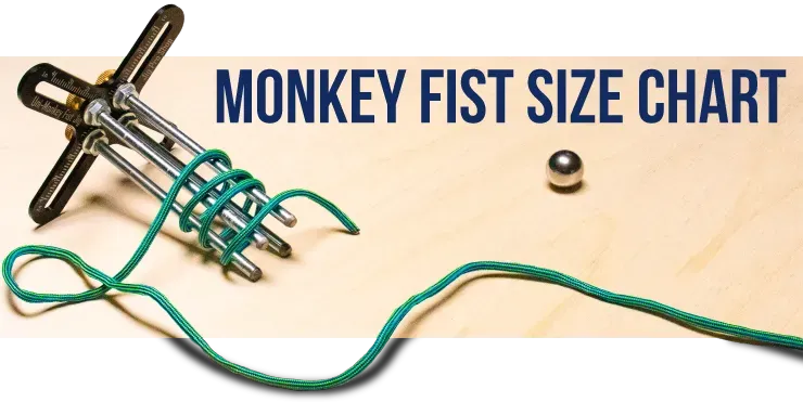 Cover Image of the Post