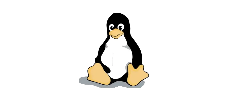 Cover Image of the Post